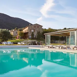 Boschi Di Monte Calvi Suvereto
