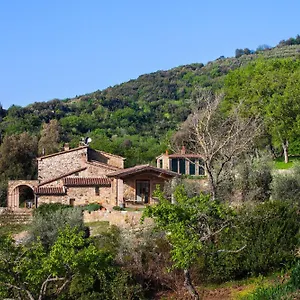 Poggio Diavolino - Suvereto